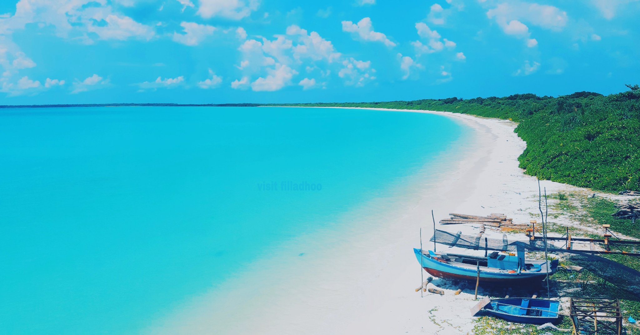 Palm trees and turquoise water